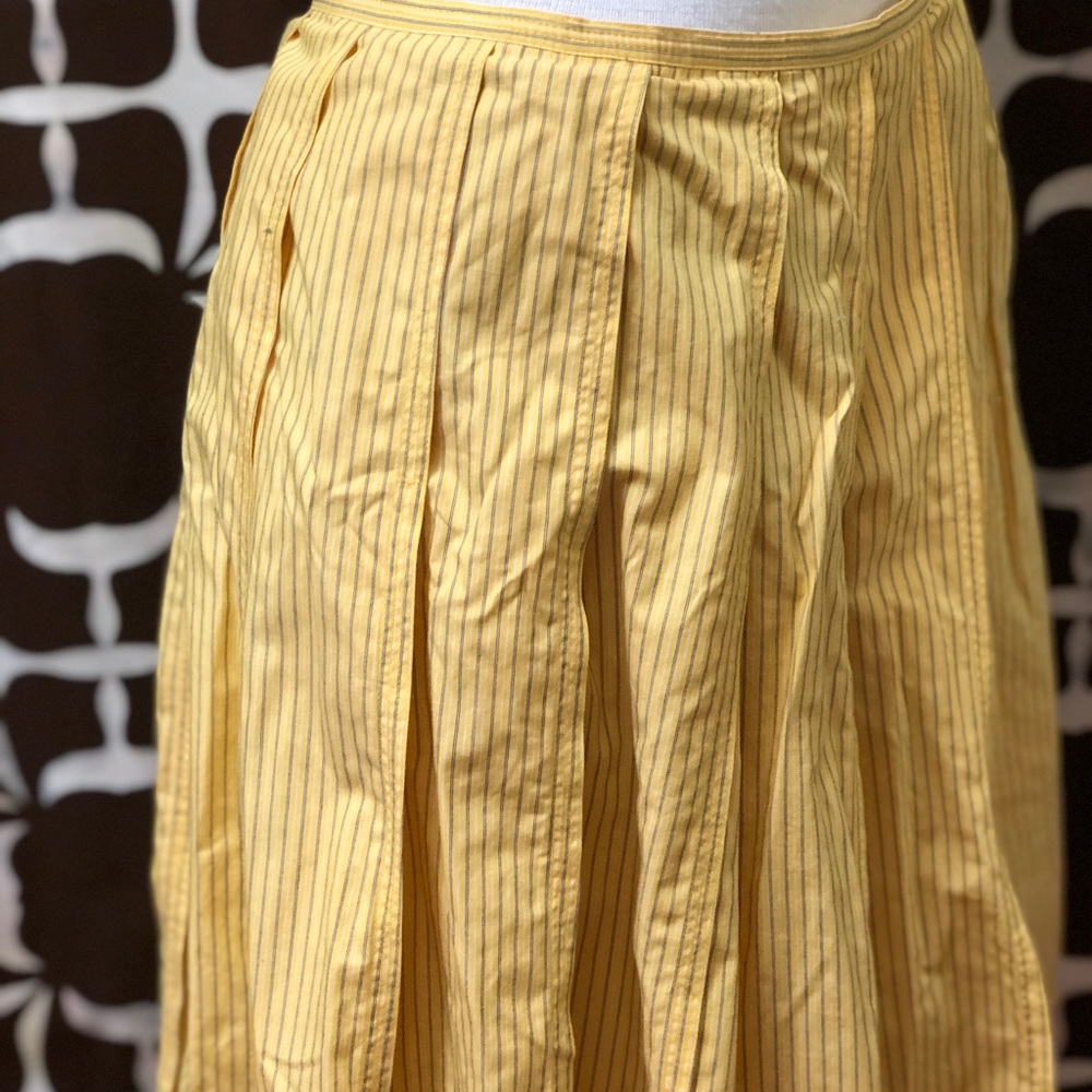 Express pleated skirt